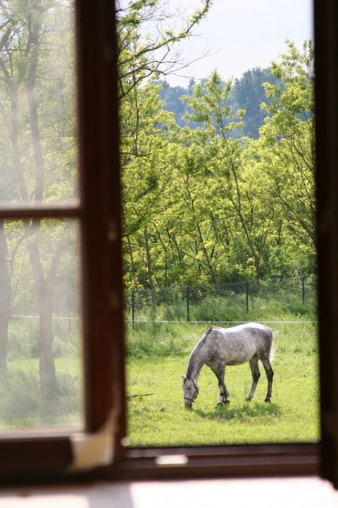 wróć do wydarzenia