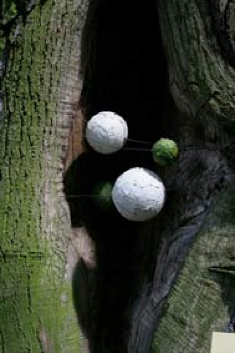 wróć do wydarzenia