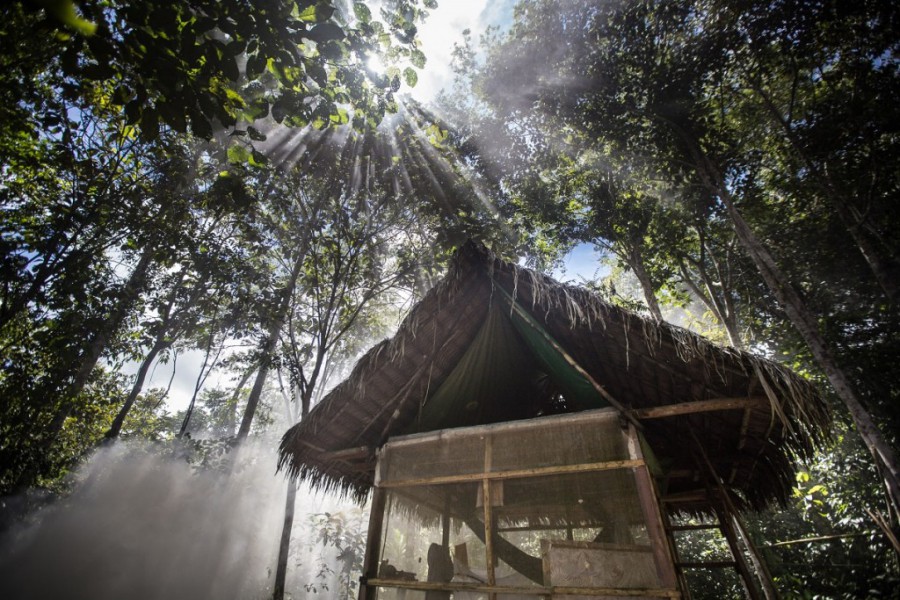 wróć do wydarzenia