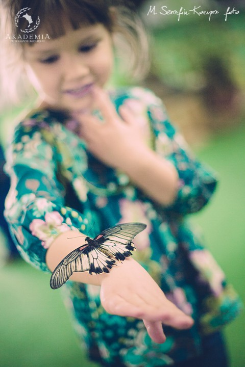 wróć do wydarzenia